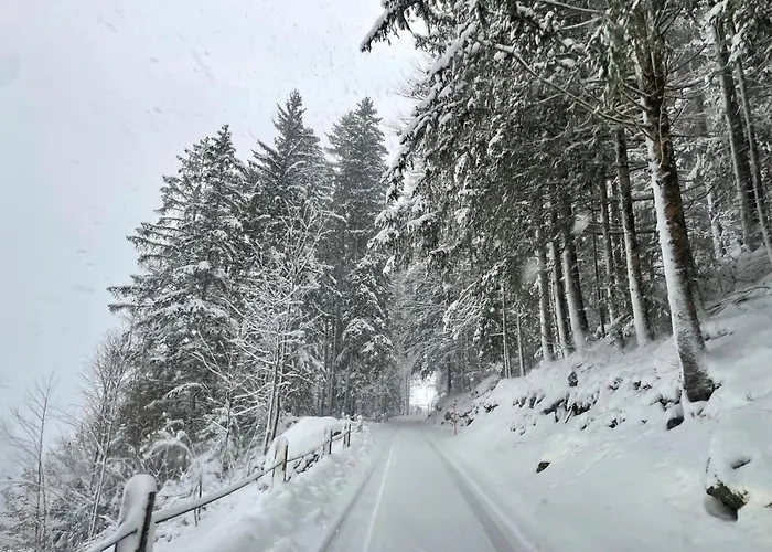 Appartement Gaestehaus Milital *