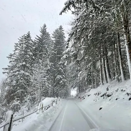 Apartamento Gaestehaus Milital *